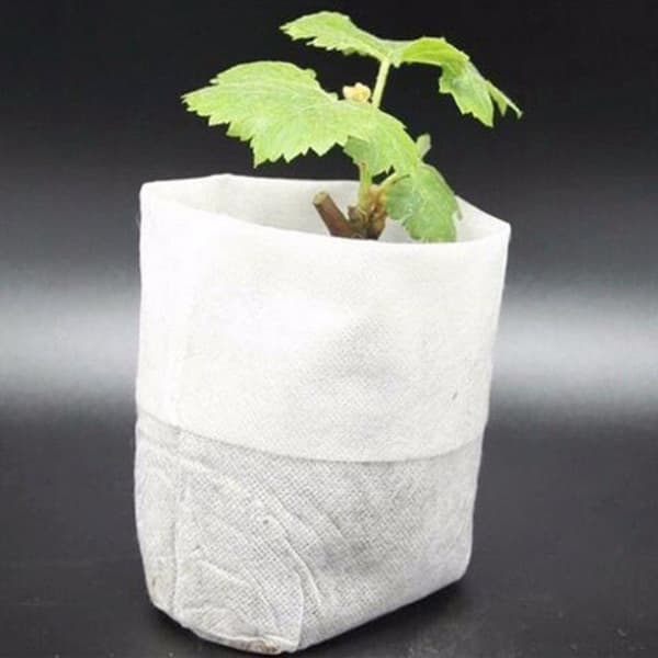 100-Pak - Tomme Frøposer / Poser til Frøplanter - Plante
