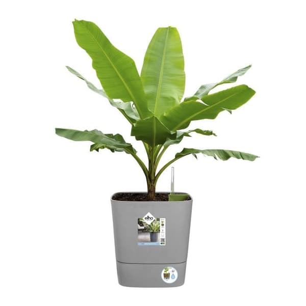 ELHO - Blomkruka - Greensense Aqua Care Square 30 - Lätt cement - Inomhus/utomhus - Ø 29,5 x H 30,2 cm