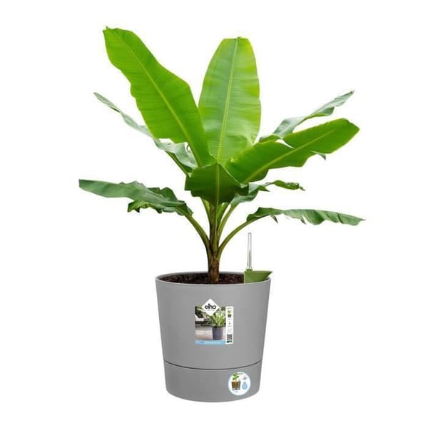ELHO - Blomkruka - Greensense Aqua Care Round 30 - Lätt cement - Inomhus/utomhus - Ø 29,5 x H 29,1 cm