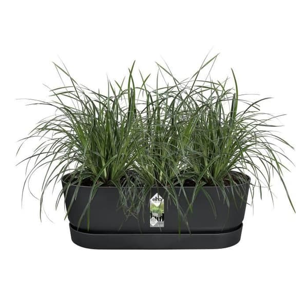 ELHO - Blomkruka - Greenville Easy Balcony 52 - Living Black - Balkong - L 21,2 x B 52 x H 19,4 cm