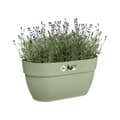 Pikkukuva 3 / 4: ELHO - Blomkruka - Vibia Campana Easy Hanger Medium - Pistaschgrön - Utebalkong - L 24,1 x B 36 x H 26,5 cm