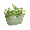 Pikkukuva 1 / 4: ELHO - Blomkruka - Vibia Campana Easy Hanger Medium - Pistaschgrön - Utebalkong - L 24,1 x B 36 x H 26,5 cm