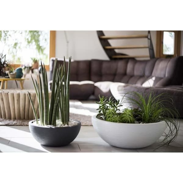 Blomkruka - EDA PLASTIQUE - GraphitUp - 50 cm - 67 L - Antracitgrå