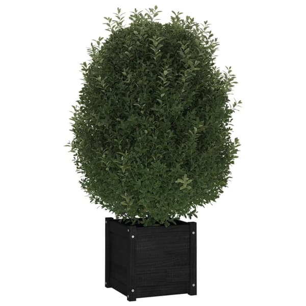 vidaXL plantekasse 40x40x40 cm massivt fyrretræ  sort