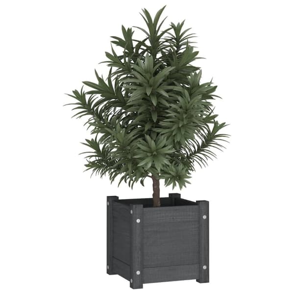 vidaXL plantekasser 2 stk. 31x31x31 cm massivt fyrretræ grå