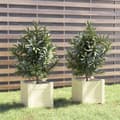 Miniatyrbilde 3 av 10: vidaXL Plantekasser 2 stk hvit 31x31x31 cm heltre furu