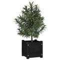 Miniatyrbilde 4 av 10: vidaXL Plantekasser 2 stk svart 31x31x31 cm heltre furu
