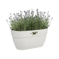 Miniatyrbild 3 av 4: ELHO - Blomkruka - Vibia Campana Easy Hanger Medium - Sidenvit - Utebalkong - L 24,1 x B 36 x H 26,5 cm