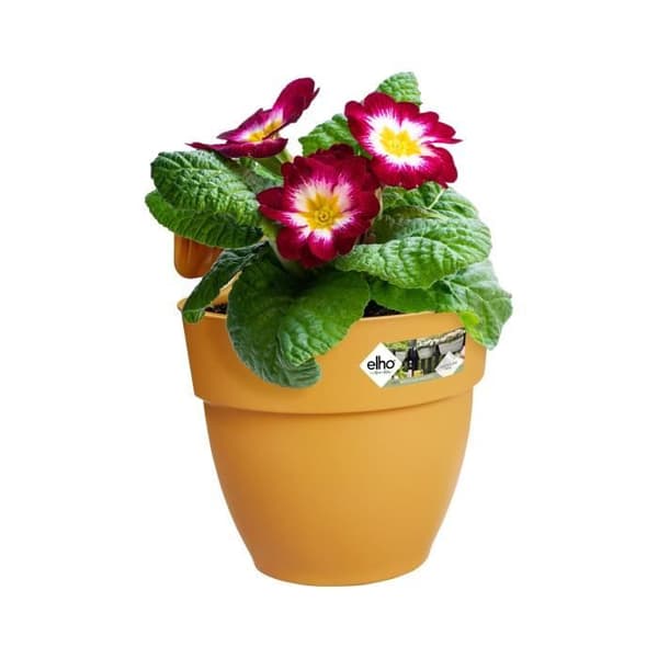 ELHO - Blomkruka - Vibia Campana Easy Hanger Small - Honungsgul - Utebalkong - L 24,1 x B 20,5 x H 26,5 cm
