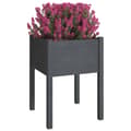 Miniatyrbilde 4 av 9: vidaXL Plantekasser 2 stk grå 50x50x70 cm heltre furu