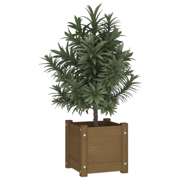 vidaXL Plantekasse honningbrun 31x31x31 cm heltre furu