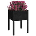 Miniatyrbilde 4 av 9: vidaXL Plantekasser 2 stk svart 50x50x70 cm heltre furu