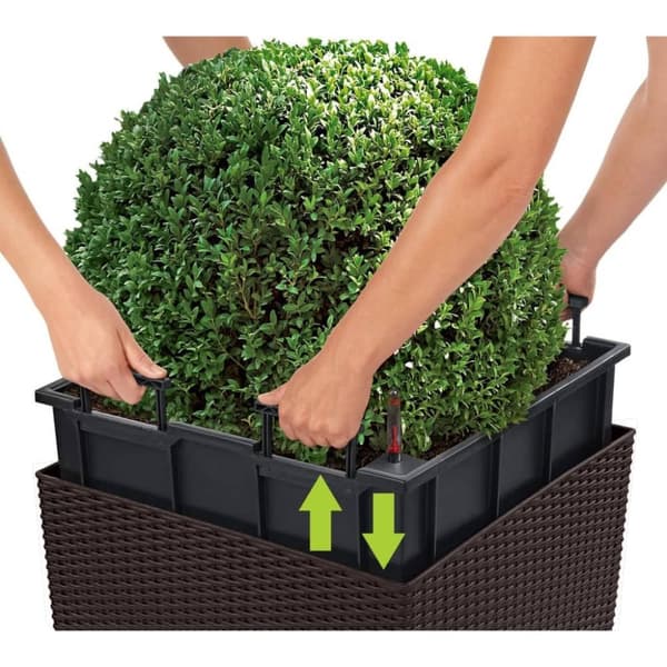 LECHUZA plantekrukke CUBE Cottage 50 ALL-IN-ONE mokkafarvet