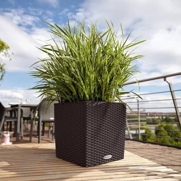 LECHUZA plantekrukke CUBE Cottage 50 ALL-IN-ONE mokkafarvet