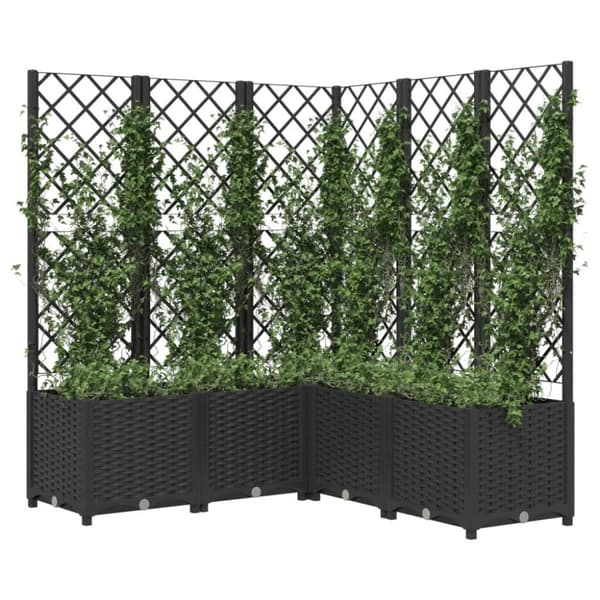 vidaXL Plantekasse med espalier svart 120x120x136 cm PP