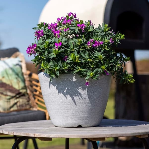 Capi plantekrukke Arc Granite lav 60x48 cm elfenbensfarvet