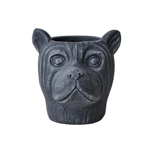 Camille kruka hund