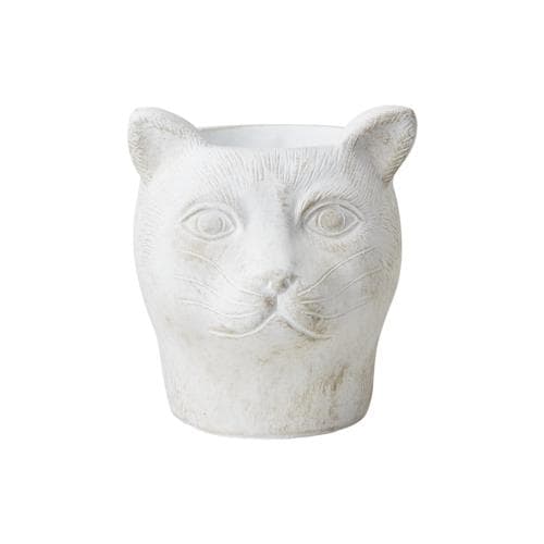 Camille kruka katt