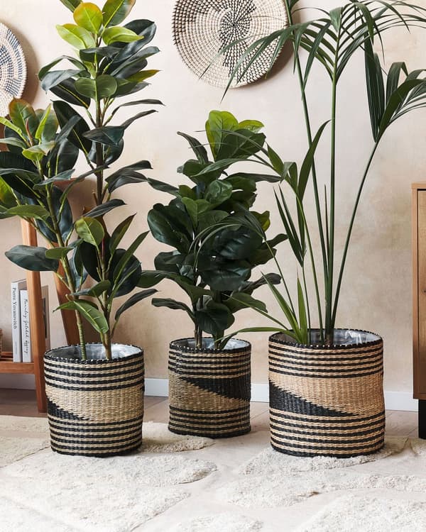 Opbevaringskurve Sort Beige Søgræs 3 stk Sæt Blomsterkurve Indendørs Plante Tilbehør Flet Cylinderformet Boho Design Skandinavisk