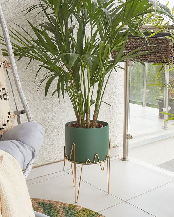 Plantestativ Grønn med Gullfarget Jern 28 x 28 x 50 cm Innendørs Utendørs Metallblomsterkrukke UV-bestandig Moderne Industriell Stående Planter