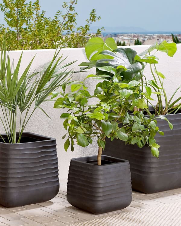 Stor plantekrukke Svart Polyresin Utendørs Hage Square 28 x 28 x 27 cm UV-bestandighet