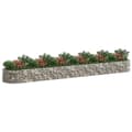 Miniatyrbilde 3 av 8: vidaXL Gabion høybed galvanisert jern 600x100x50 cm