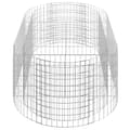 Miniatyrbilde 5 av 8: vidaXL Gabion høybed galvanisert jern 200x100x50 cm