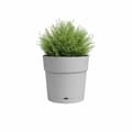 Miniatyrbillede 2 af 6: Blomma burk och rund capri -rund - plast - vattentank - diameter 30 cm - ljusgrå - Artevasi
