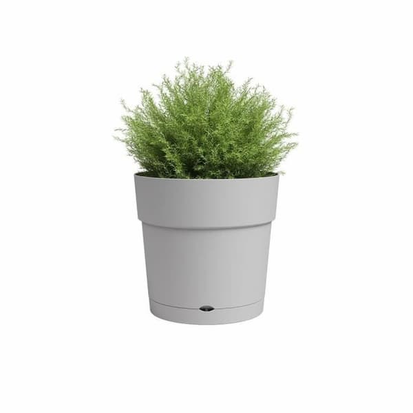 Blomma burk och rund capri -rund - plast - vattentank - diameter 30 cm - ljusgrå - Artevasi