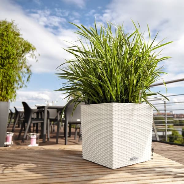 Självvattnande Kruka Cube Cottage 30cm vit