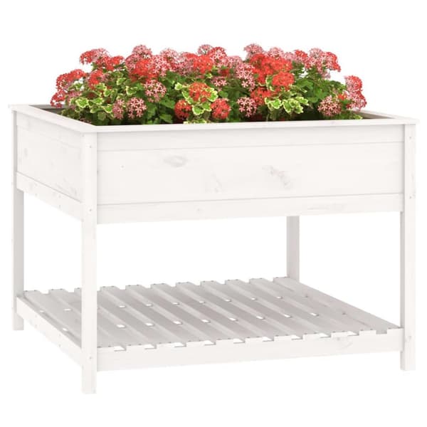vidaXL Odlingslåda med hylla vit 111,5x111,5x81 cm massiv furu