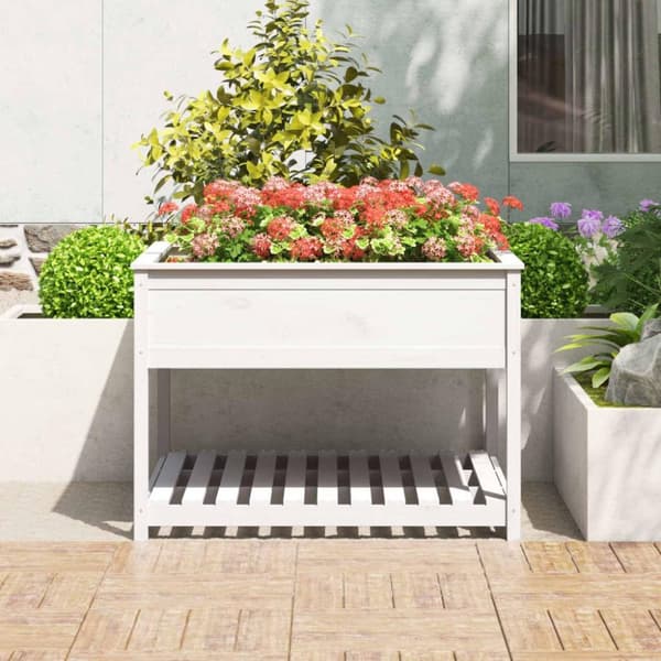 vidaXL Odlingslåda med hylla vit 111,5x111,5x81 cm massiv furu