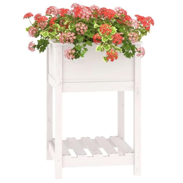 vidaXL Plantekasse med hylle hvit 54x54x81 cm heltre furu
