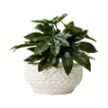 Miniatyrbild 2 av 2: Cream kruka