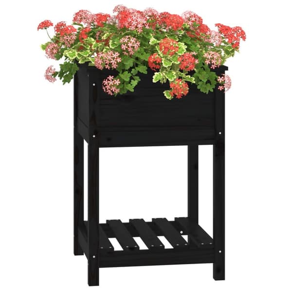vidaXL plantekasse med hylde 54x54x81 cm massivt fyrretræ sort