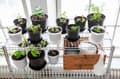 Miniatyrbild 3 av 3: Planteringskruka 12 cm 1L Cultivate Orthex