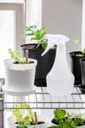 Miniatyrbild 2 av 3: Planteringskruka 12 cm 1L Cultivate Orthex