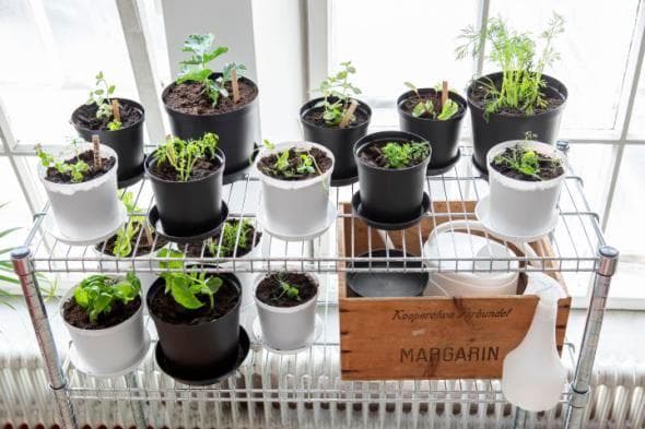 Fat Cultivate 12 cm Grå Hammarplast