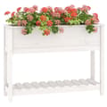 Miniatyrbillede 3 af 9: vidaXL plantekasse med hylde 111,5x34,5x81 cm massivt fyrretræ hvid