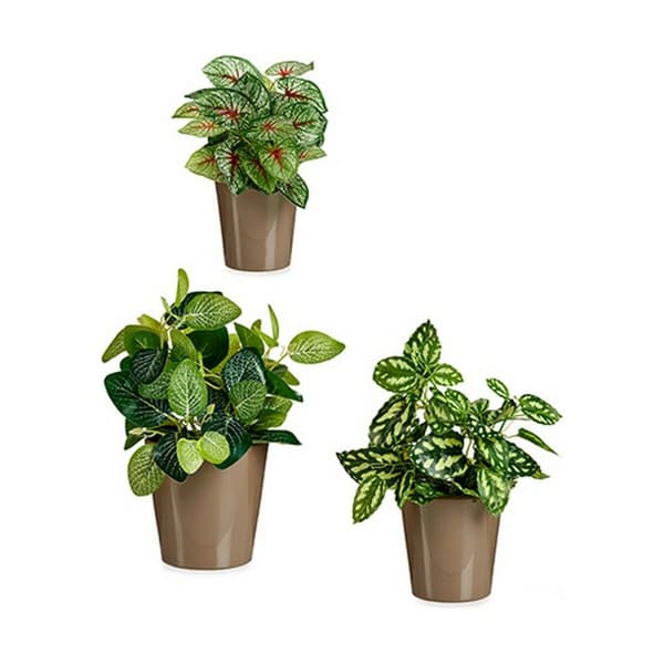 Krukset Ibergarden LINCE PQ - 7006 Beige-brun (taupe) Lera (6 antal)