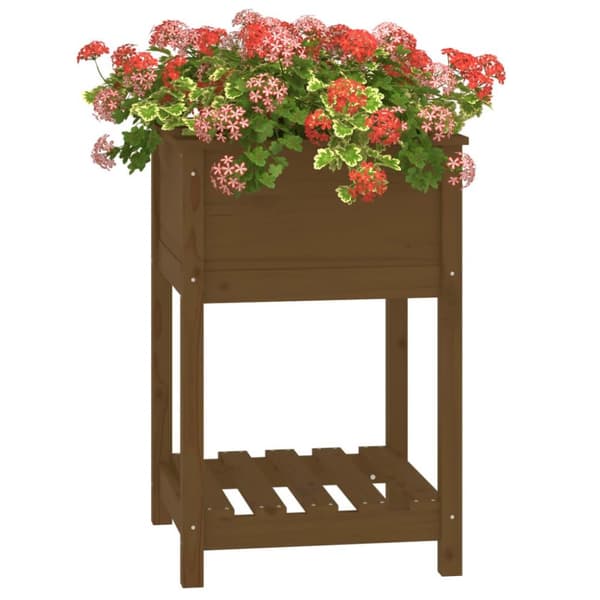 vidaXL plantekasse med hylde 54x54x81 cm massivt fyrretræ gyldenbrun