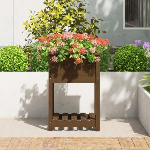 vidaXL plantekasse med hylde 54x54x81 cm massivt fyrretræ gyldenbrun