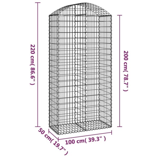 vidaXL Kaareva kivikori 100x50x200/220 cm galvanoitu rauta