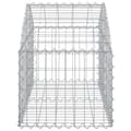 Miniatyrbild 4 av 5: vidaXL Gabion bågformad 100x50x40/60 cm galvaniserat järn