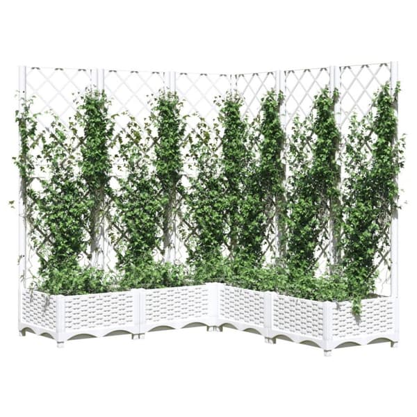 vidaXL Plantekasse med espalier hvit 120x120x121,5 cm PP