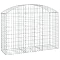 Miniatyrbillede 2 af 5: vidaXL buet gabionkurv 150x50x100/120 cm galvaniseret jern