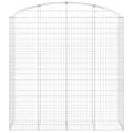 Pikkukuva 3 / 5: vidaXL Kaareva kivikori 200x50x200/220 cm galvanoitu rauta