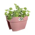 Miniatyrbild 3 av 4: ELHO - Blomkruka - Vibia Campana Flower Bridge 40 - Dusty Rose - Utomhusbalkong - L 26 x B 39 x H 22 cm