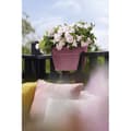 Miniatyrbild 2 av 4: ELHO - Blomkruka - Vibia Campana Flower Bridge 40 - Dusty Rose - Utomhusbalkong - L 26 x B 39 x H 22 cm