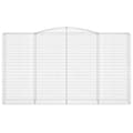 Miniatyrbillede 3 af 5: vidaXL buet gabionkurv 400x50x220/240 cm galvaniseret jern